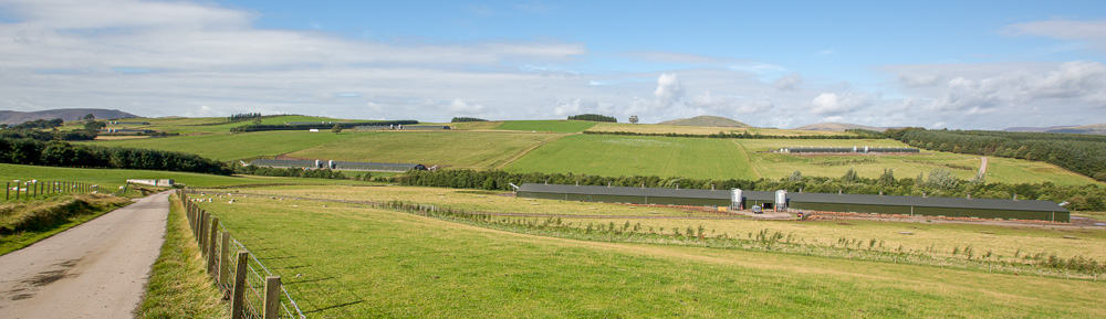 Farms landscape