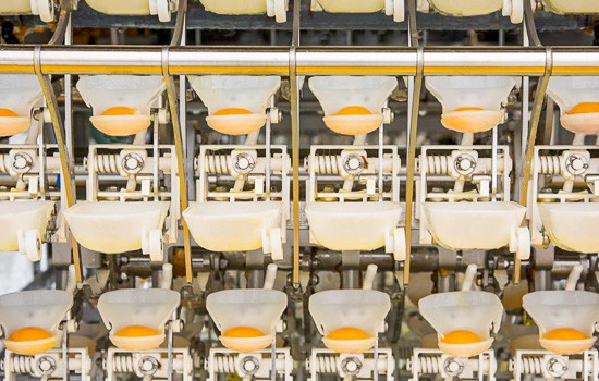 Egg separation machine